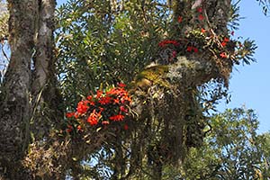 October 2013 part 1 - South Brazil