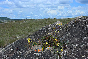 October 2013 part 2 - Minas Gerais