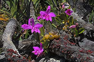 October 2013 part 3 - Bahia