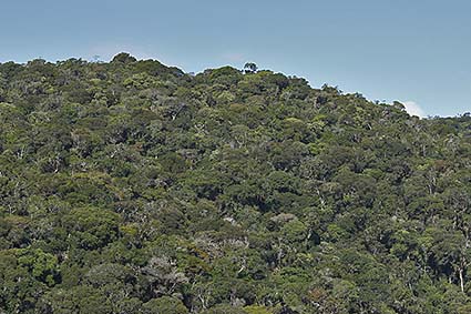 Serra do mar - Sea Mountains 2
