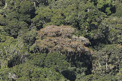 Serra do mar - Sea Mountains 3