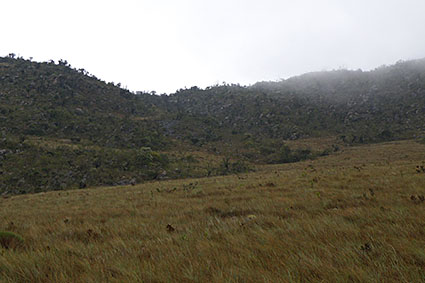 habitat liliputiana 1