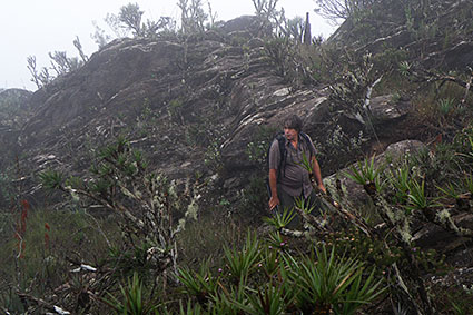 habitat liliputiana 2