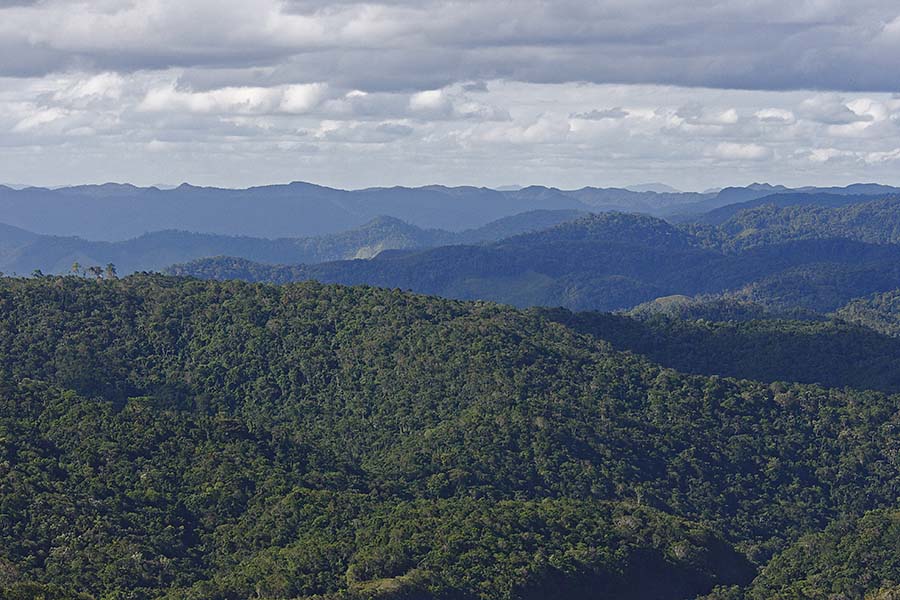 Serra do mar - Sea Mountains