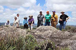 October November 2015